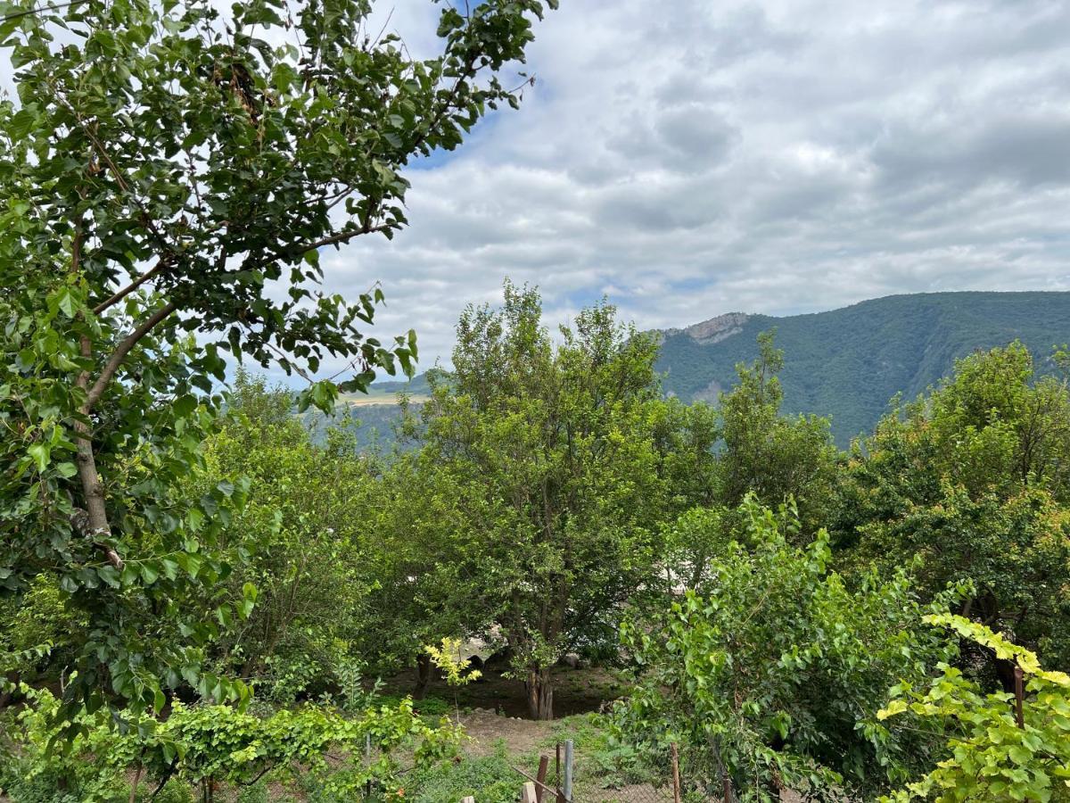 Arman Bed And Breakfast Halidzor Εξωτερικό φωτογραφία